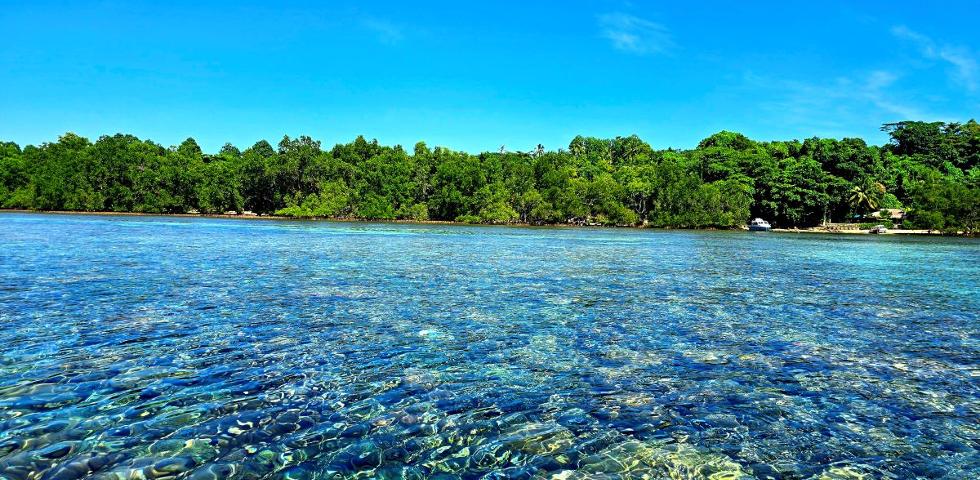 마나도_스노쿨링 코랄포인트