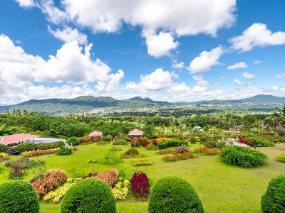 마나도_ 펠랑이