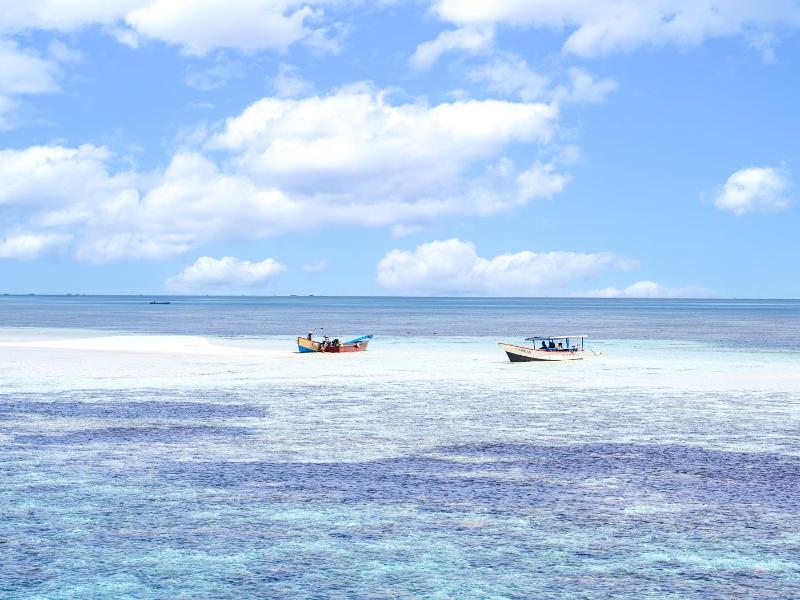 ●EVENT● [노옵션/노쇼핑] 마나도 5일 #호핑투어 #토모혼 #시내관광 