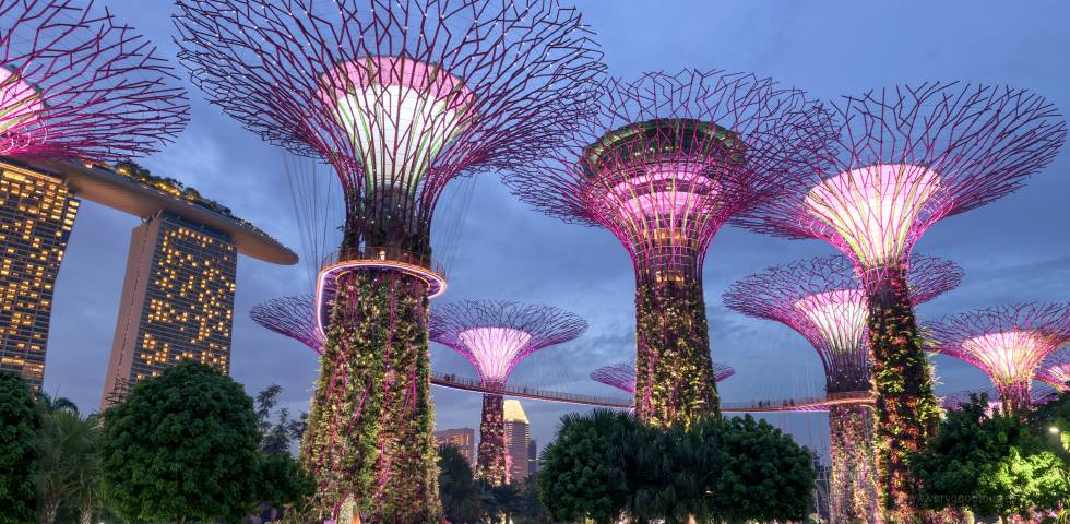 [여유있는 두나라 여행] 싱가포르/바탐 5일 #칠리크랩