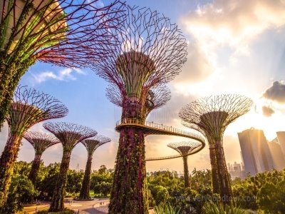 [두나라 여행] 싱가포르 + 바탐 5일  # 라노섬 투어 # 관광+휴양 