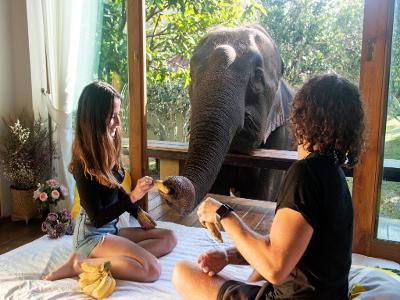 [노팁/노옵션/노쇼핑] #5성 샹그릴라 2박 #코끼리 호텔 1박 #반자유여행_감성충전 치앙마이