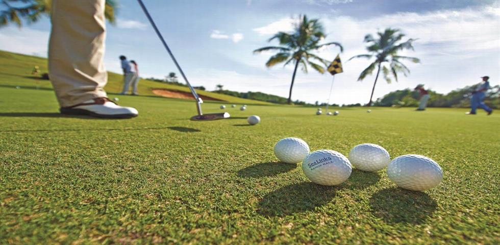 씨링크 골프장 sea links golf country club