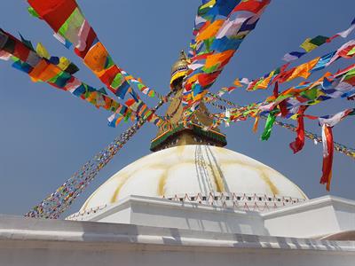 보우더나트