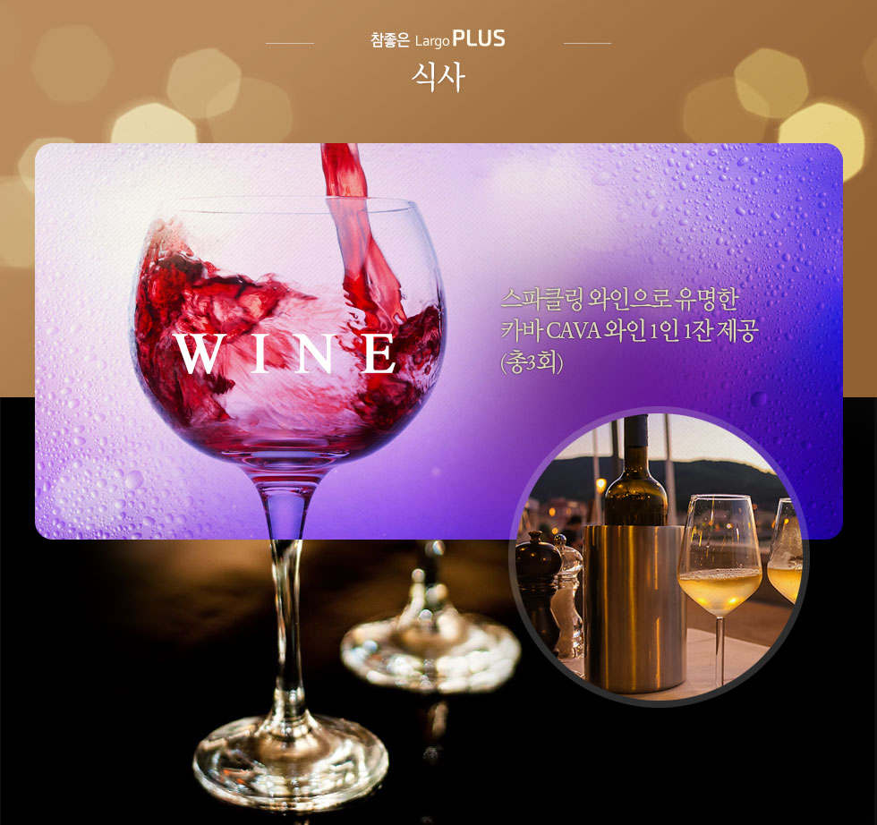 PLUS 식사