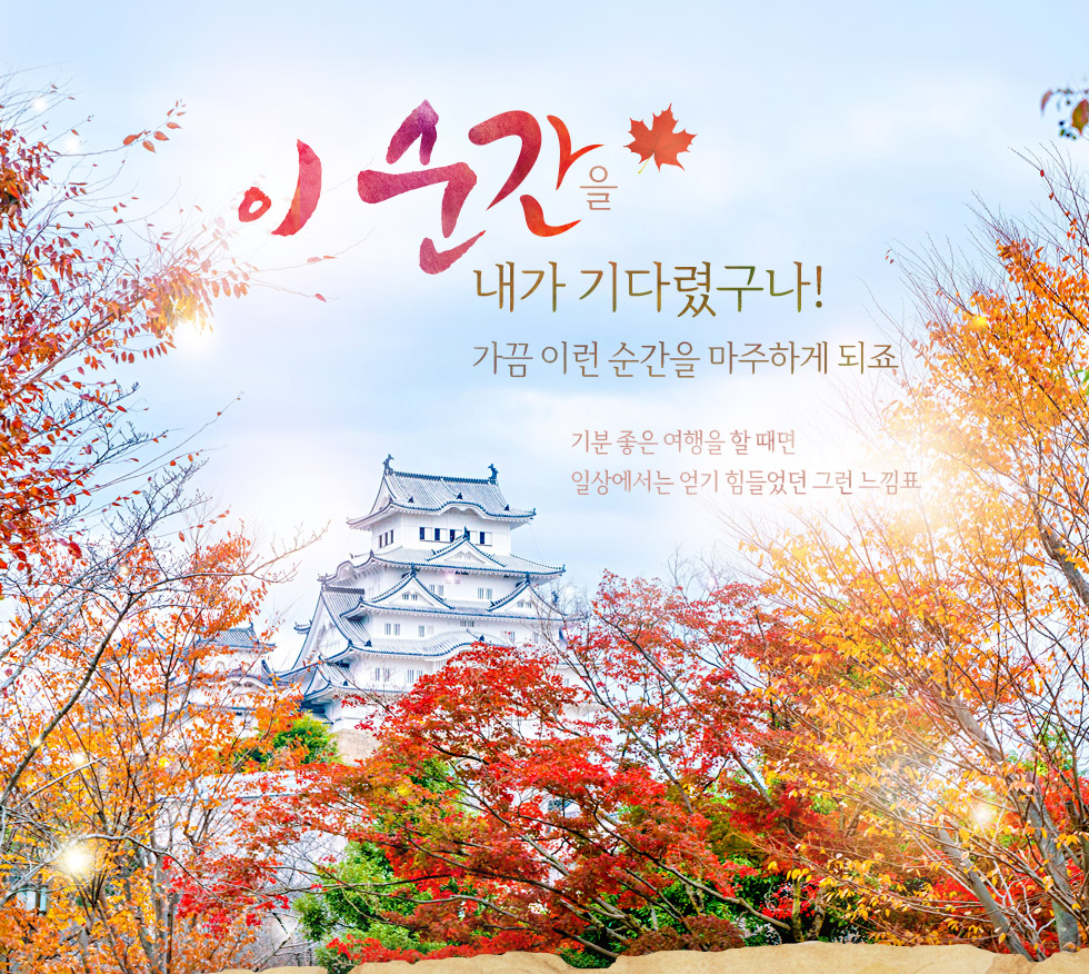 기획전 이미지