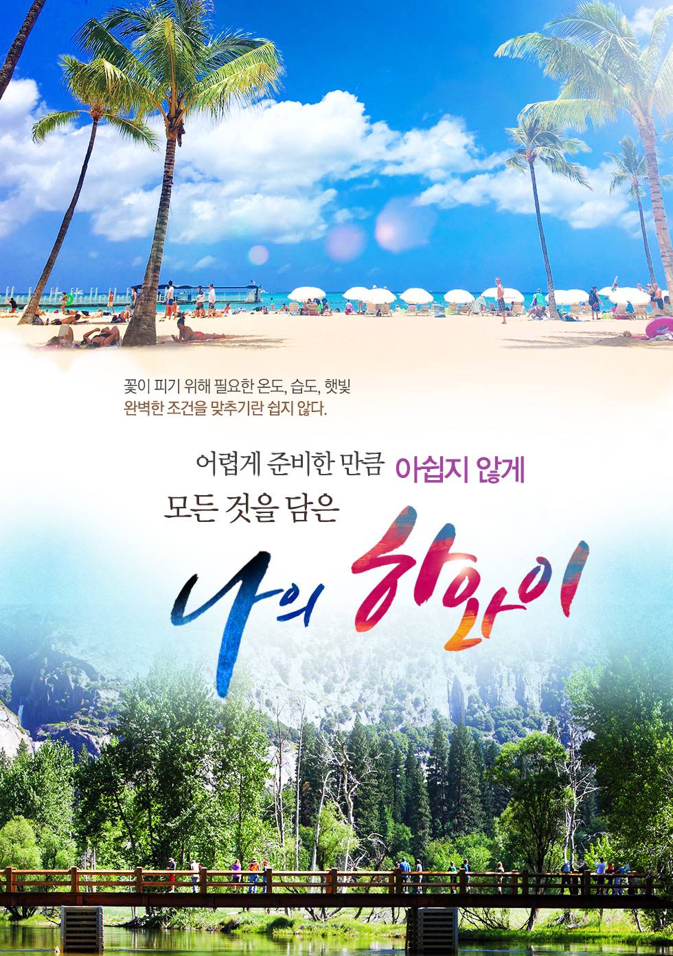 모든 것을 담은 나의 하와이