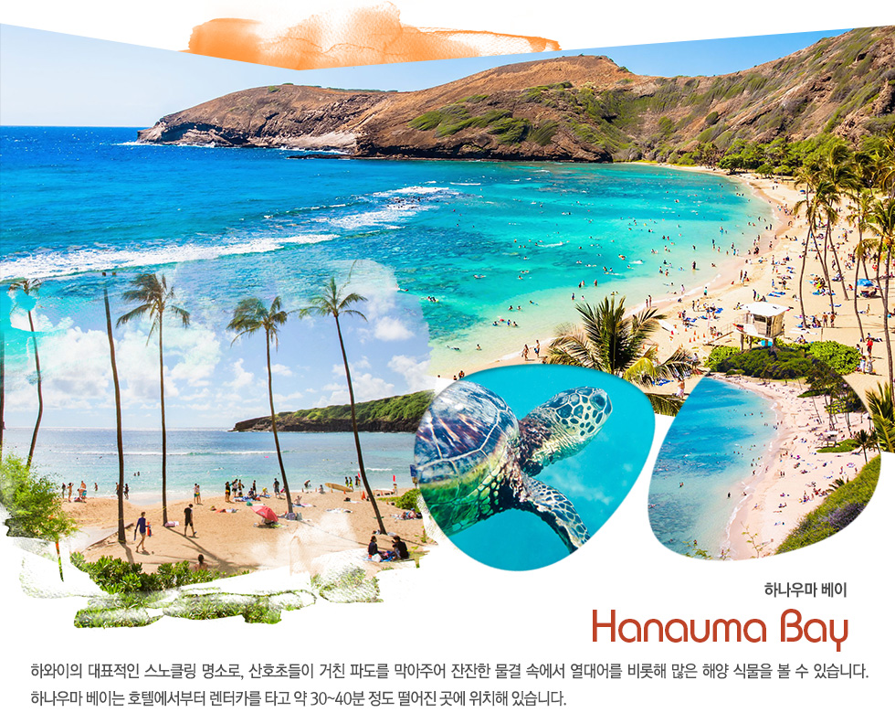 하나우마 베이 Hanauma Bay