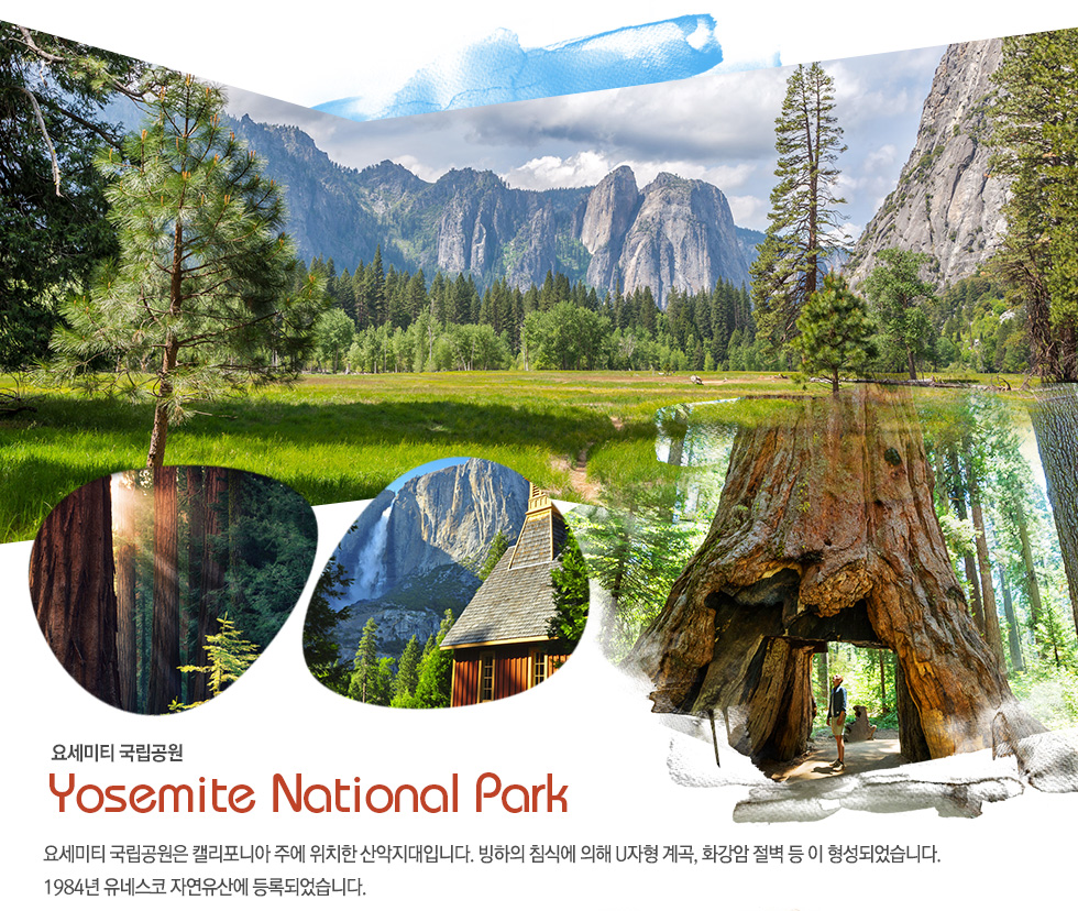 요세미티 국립공원 Yosemite National Park