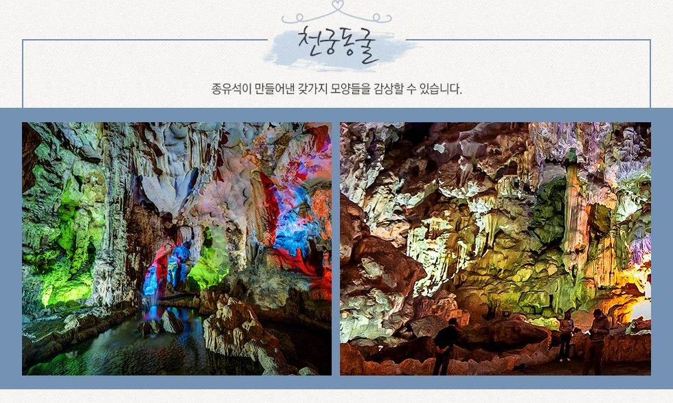 기획전 이미지