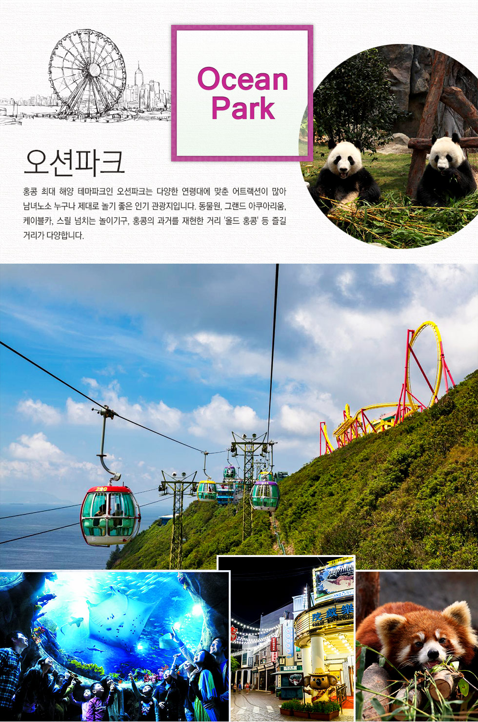 기획전 이미지