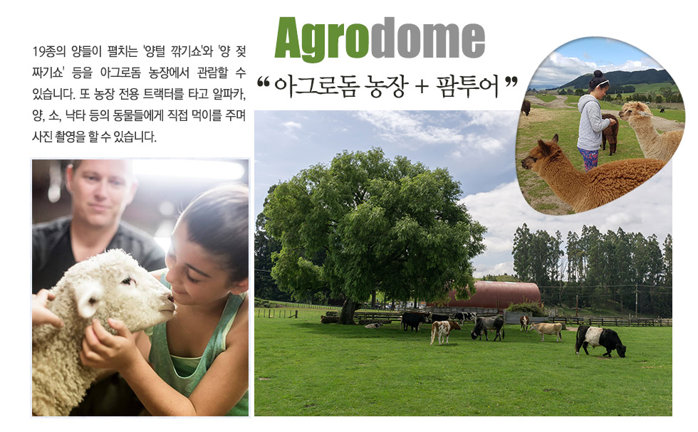 아그로돔 농장 + 팜투어 Agrodome