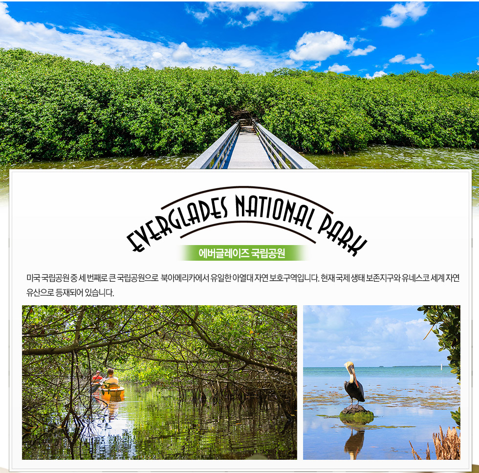 에버글레이즈 국립공원 Everglades National Park