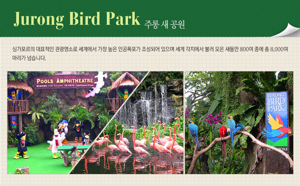 주롱 새 공원 