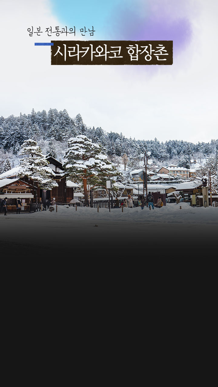 일본 전통과의 만남, 시라카와코 합장촌