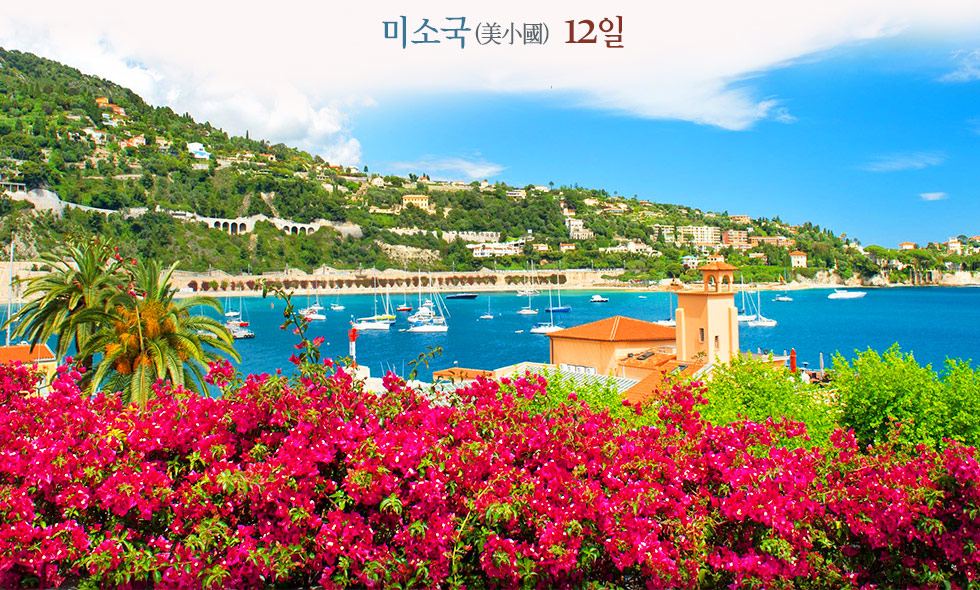 미소국(美小國) 12일