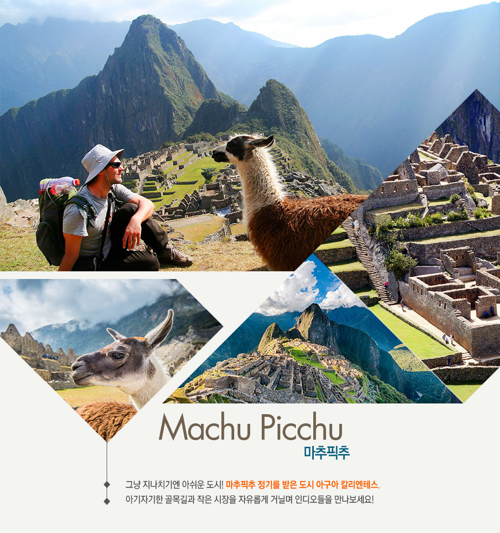 마추픽추 Machu Picchu