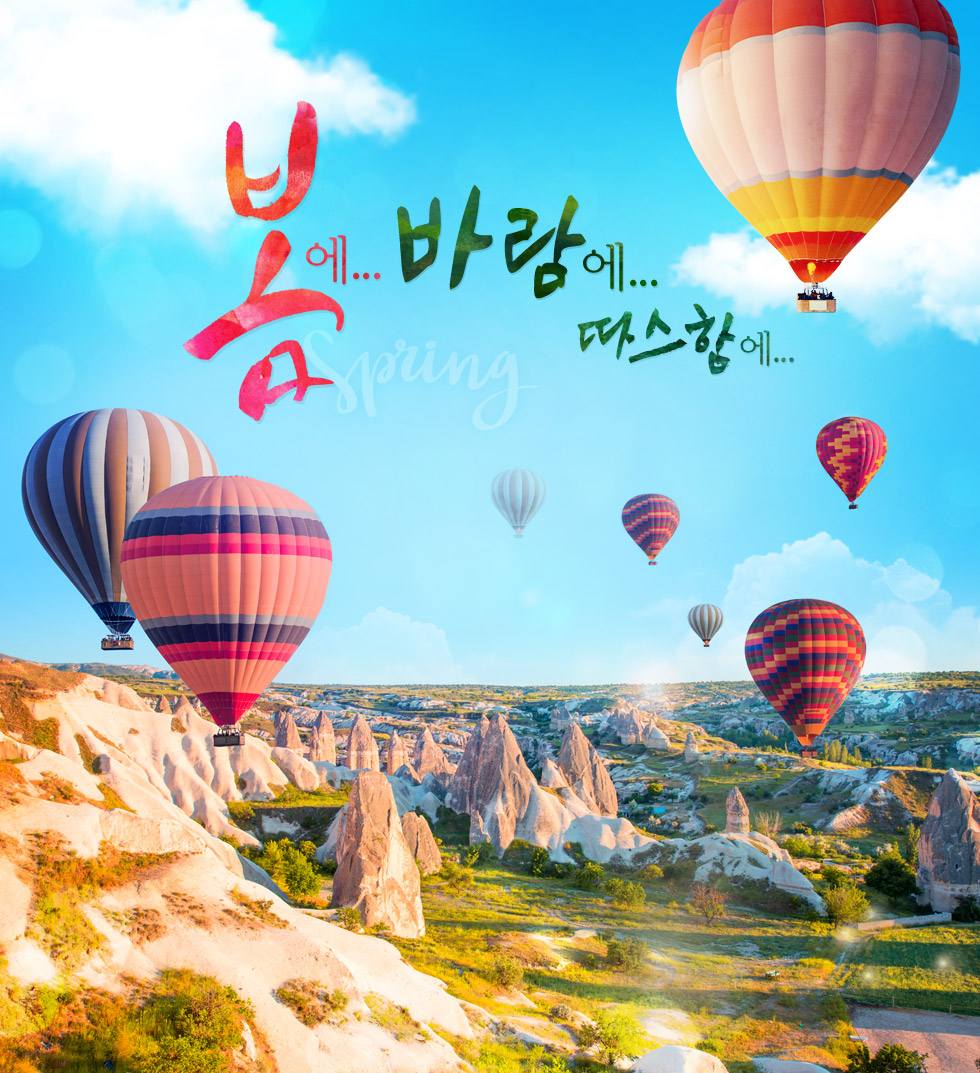 기획전 이미지
