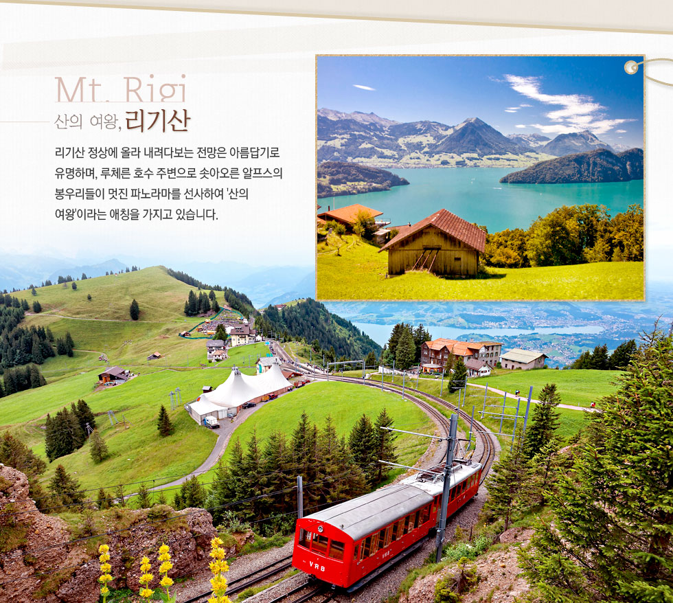 기획전 이미지