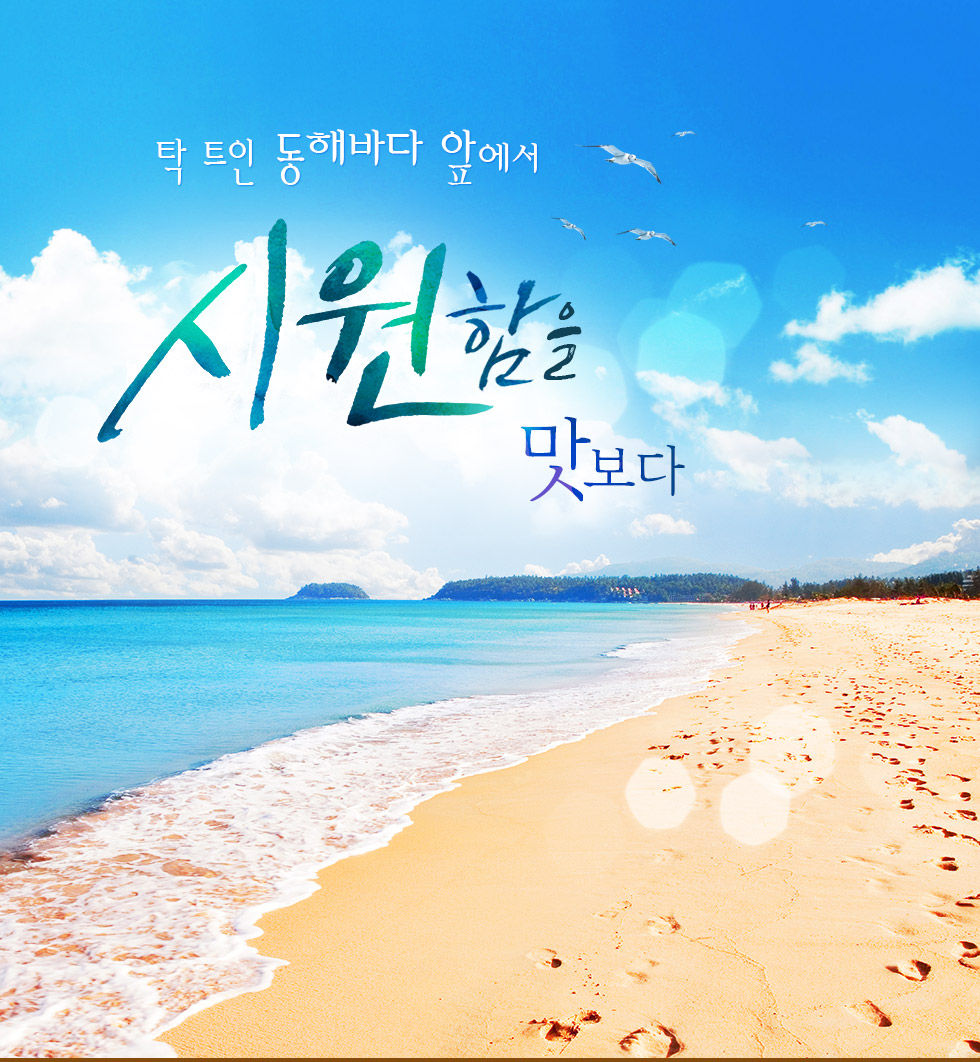 기획전 이미지