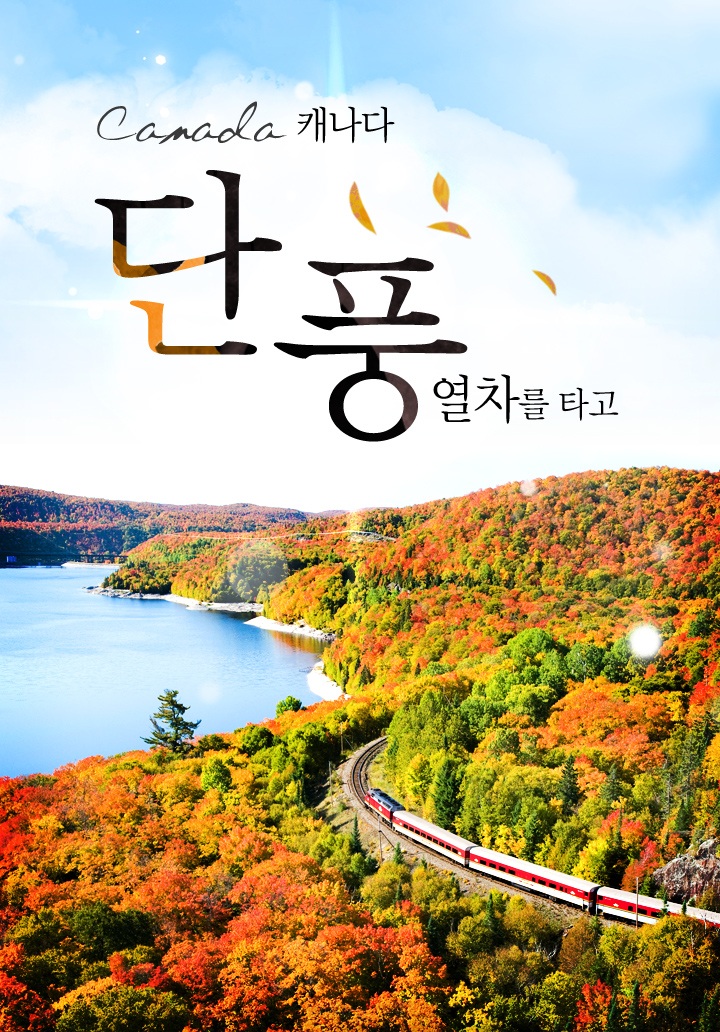 罹먮굹?? ?⑦뭾?댁감瑜? ??怨?