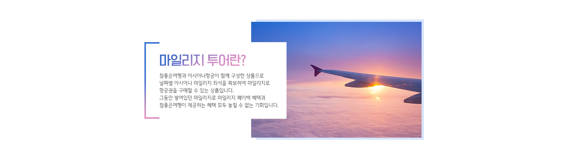 기획전 이미지