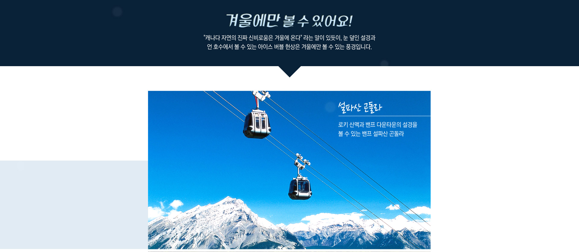기획전 이미지
