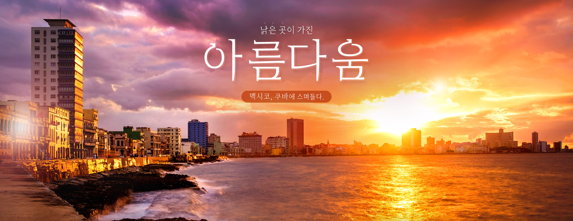 기획전 이미지