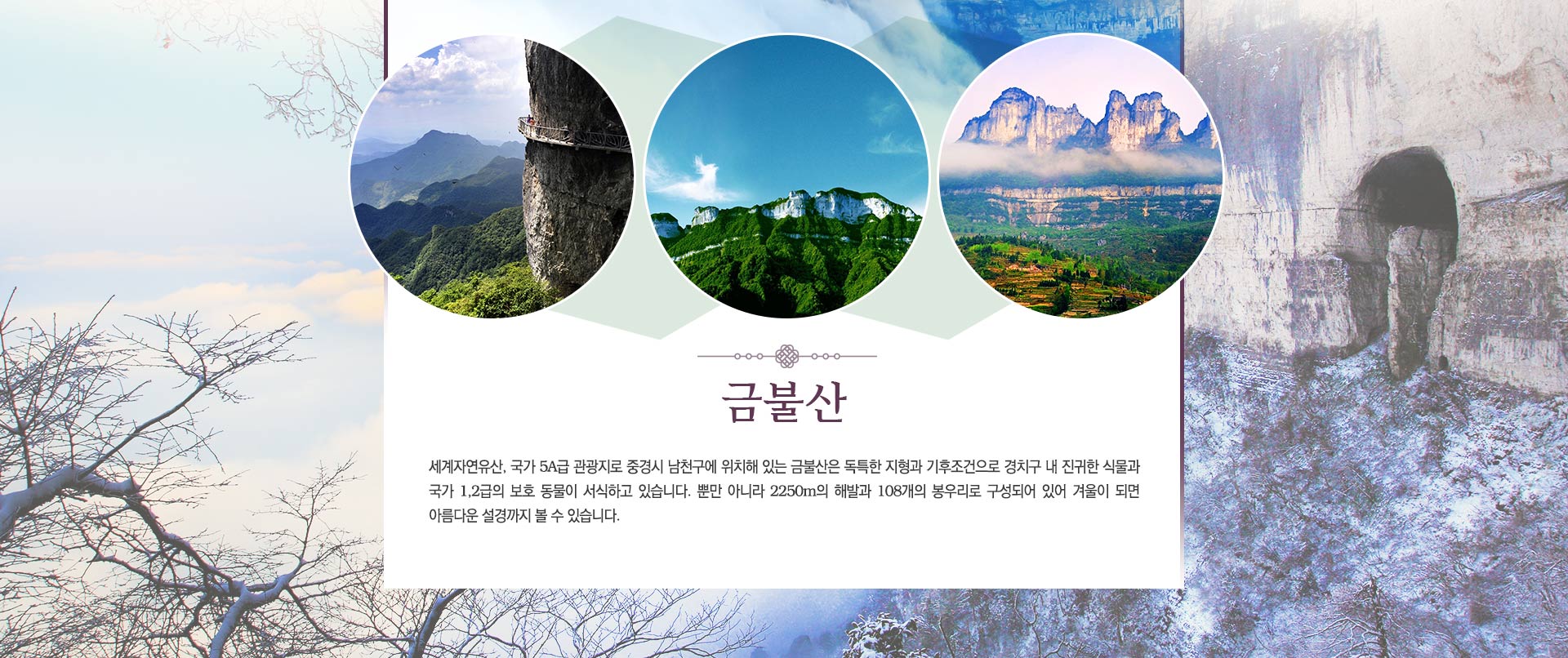 기획전 이미지