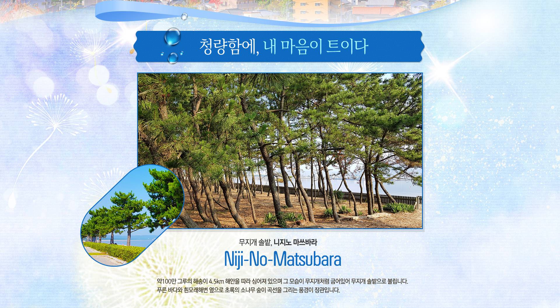 기획전 이미지