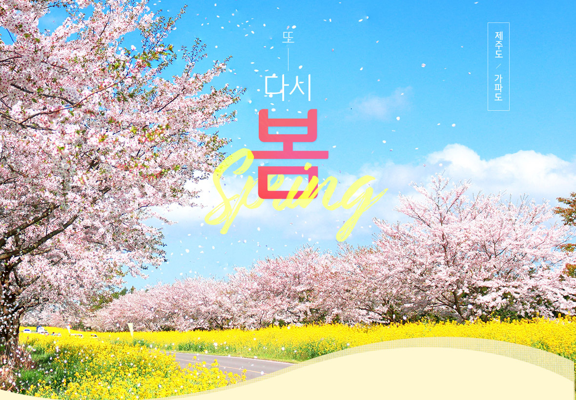 기획전 이미지