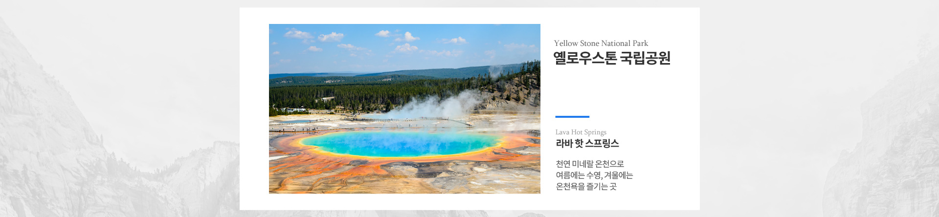 기획전 이미지