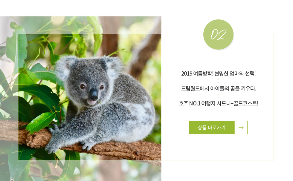 기획전 이미지