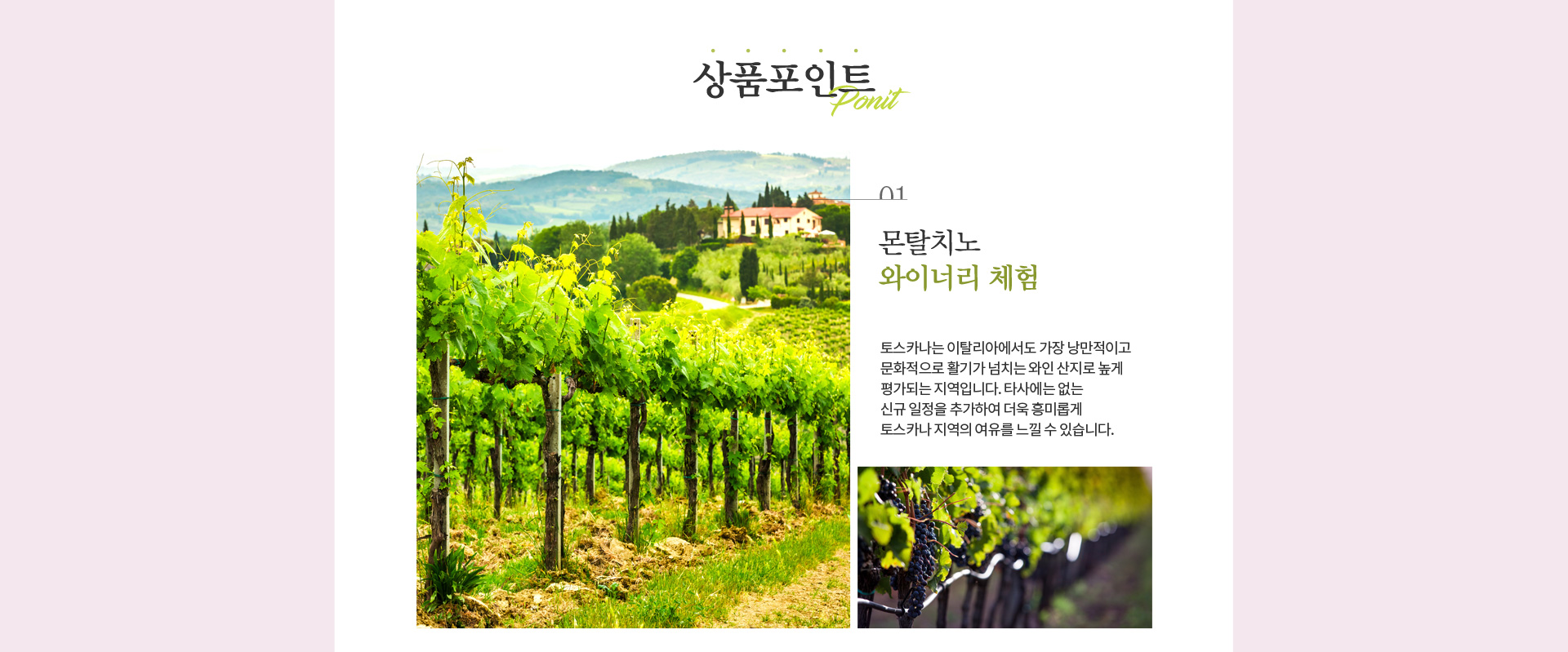 기획전 이미지
