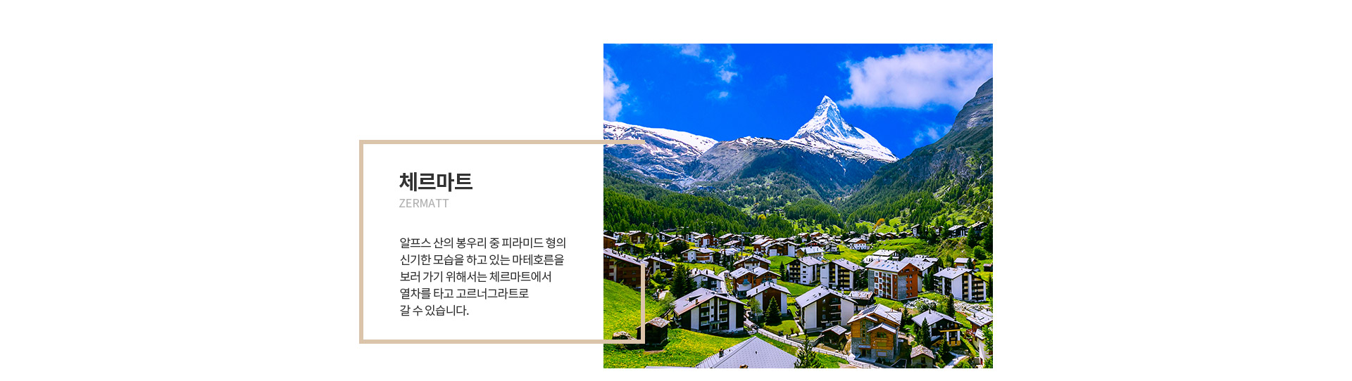 기획전 이미지