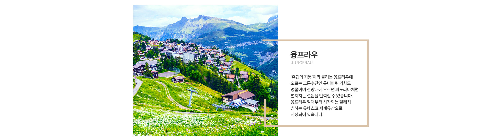 기획전 이미지