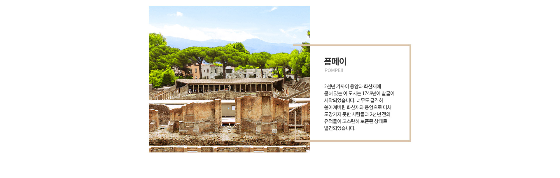 기획전 이미지