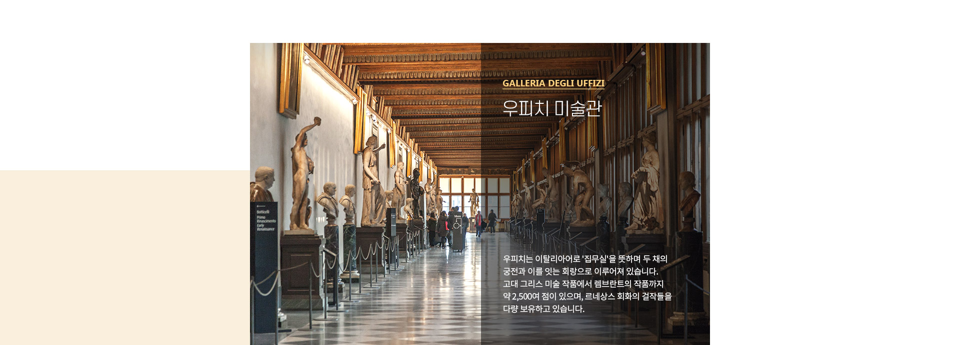 기획전 이미지