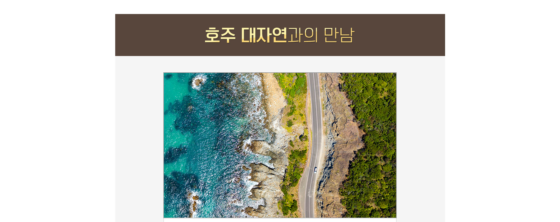 기획전 이미지