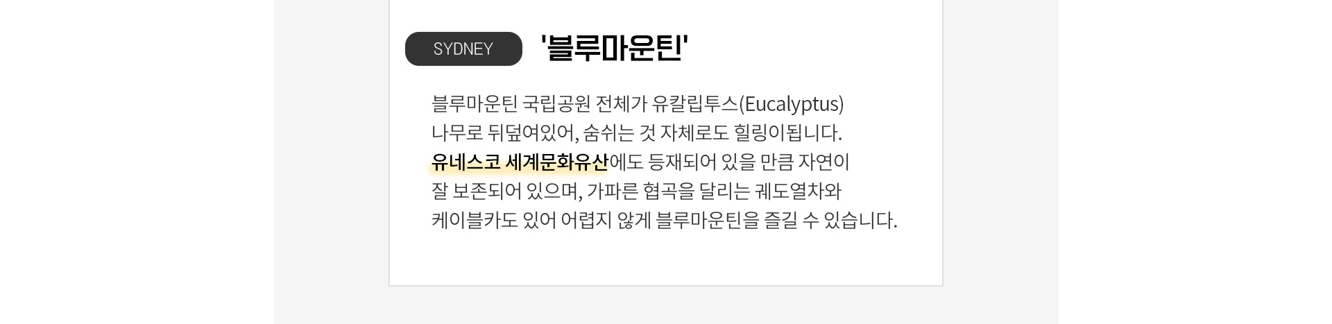 기획전 이미지