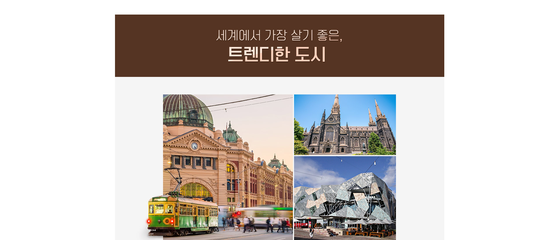 기획전 이미지