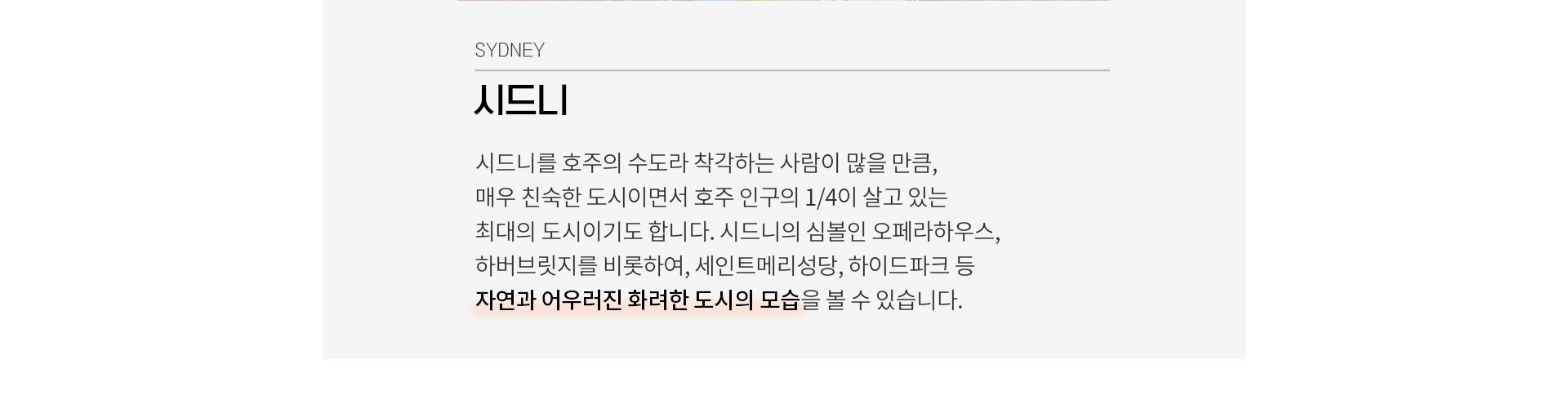 기획전 이미지
