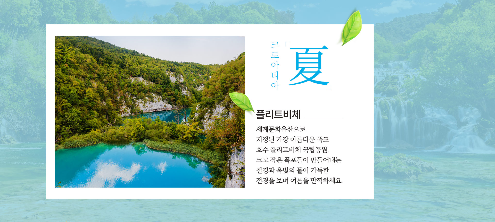 기획전 이미지