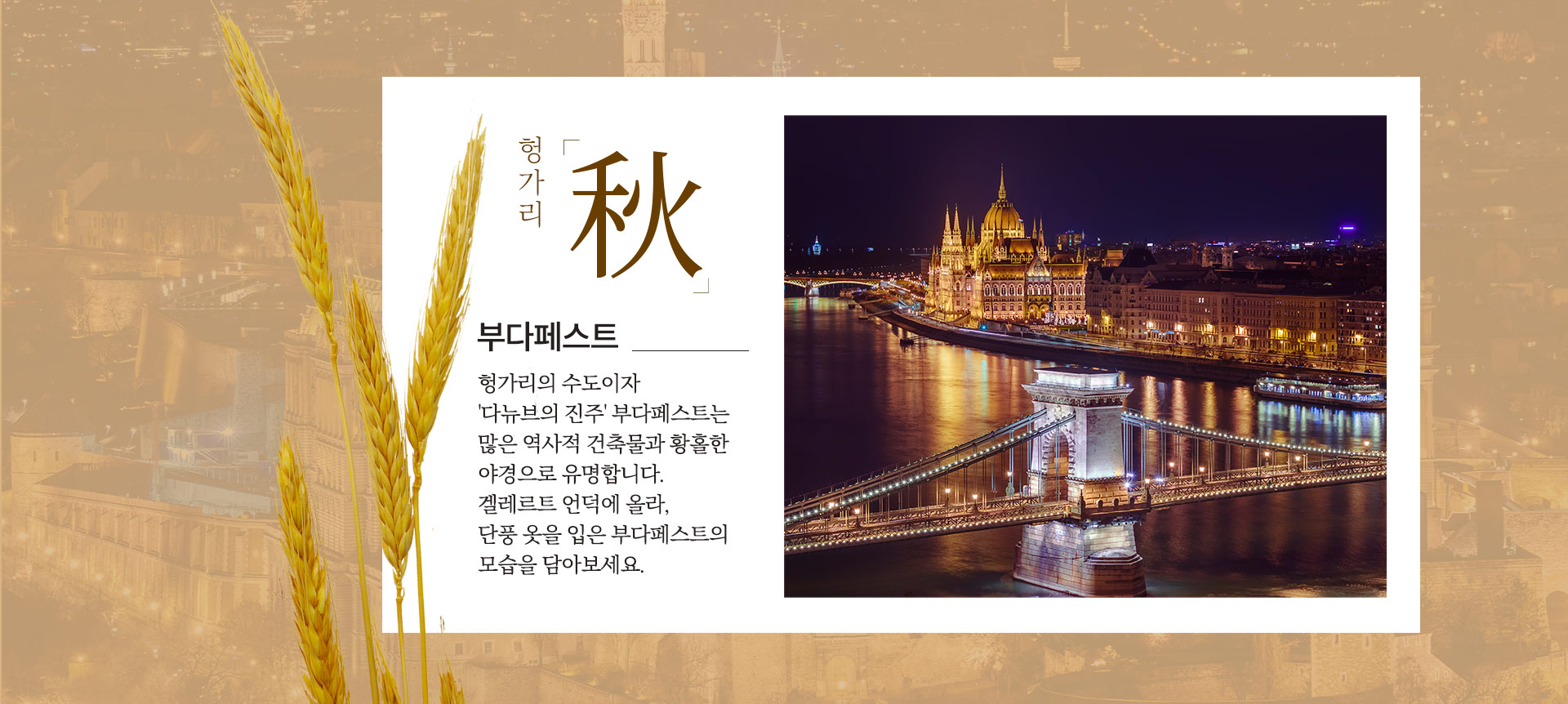 기획전 이미지