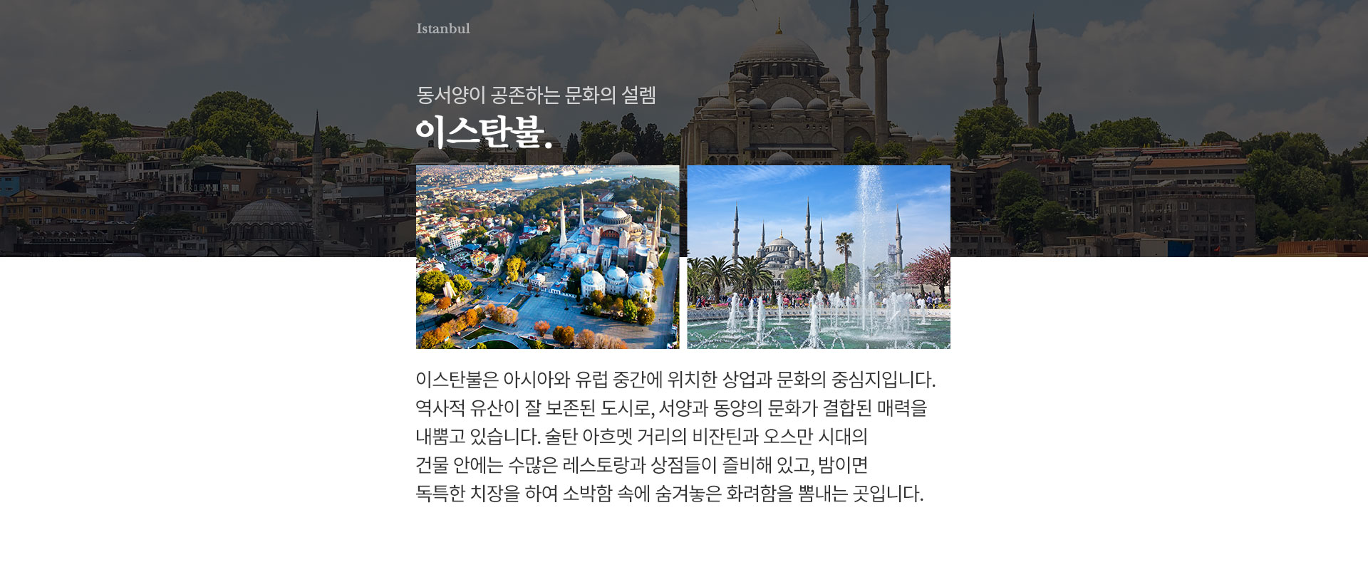 기획전 이미지