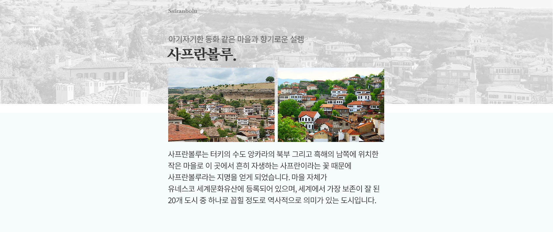 기획전 이미지