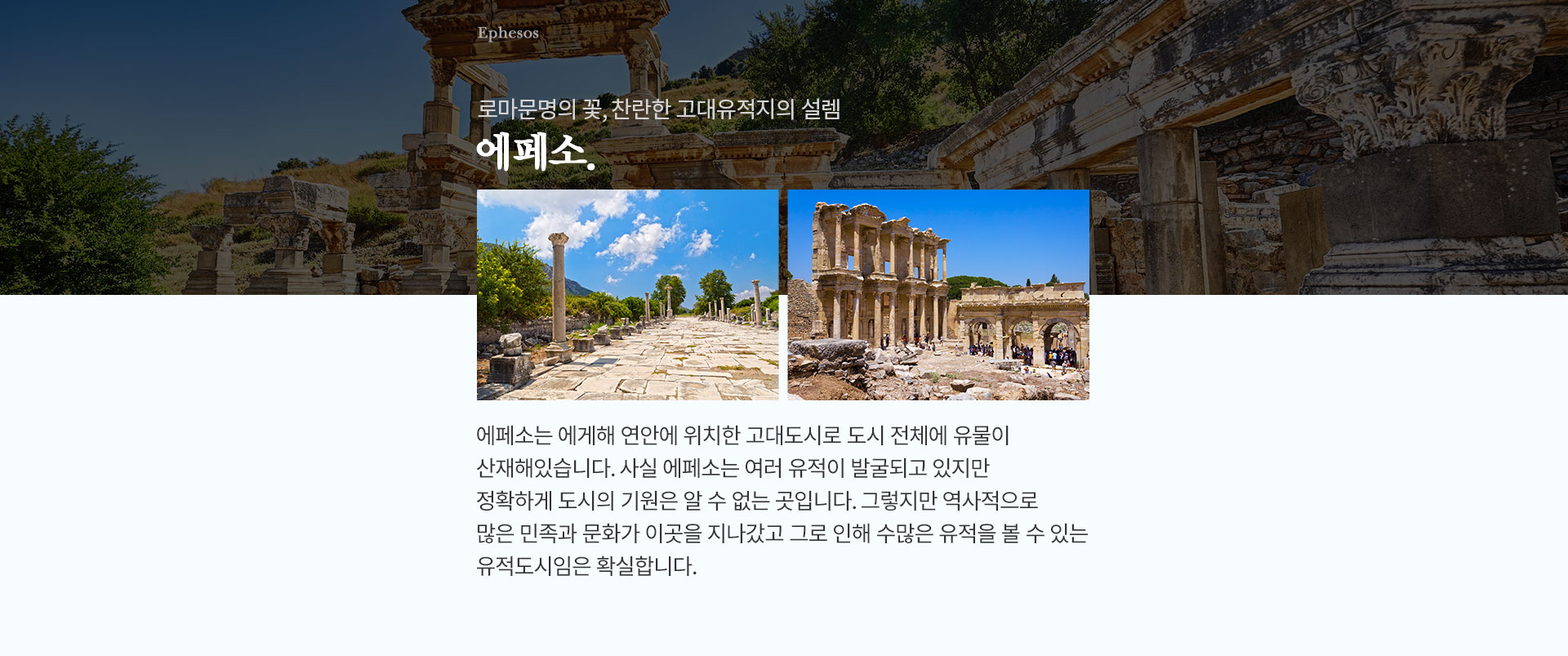 기획전 이미지
