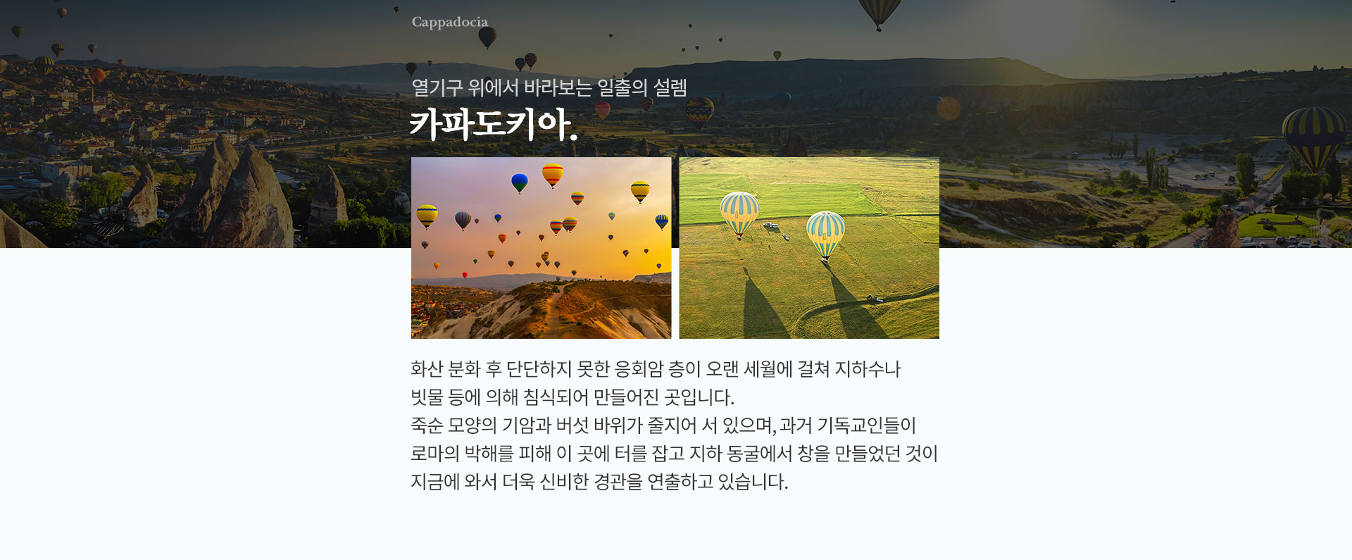 기획전 이미지
