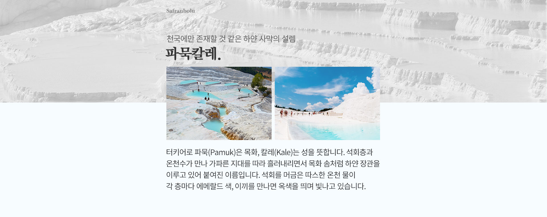 기획전 이미지