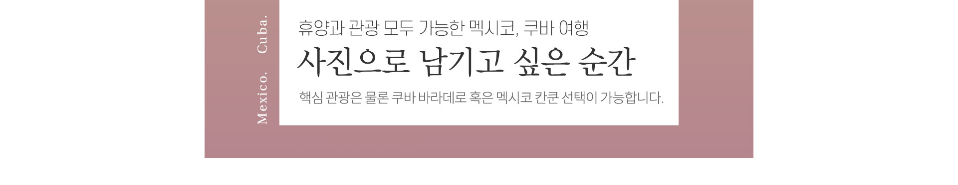 기획전 이미지